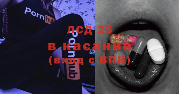 амф Бородино