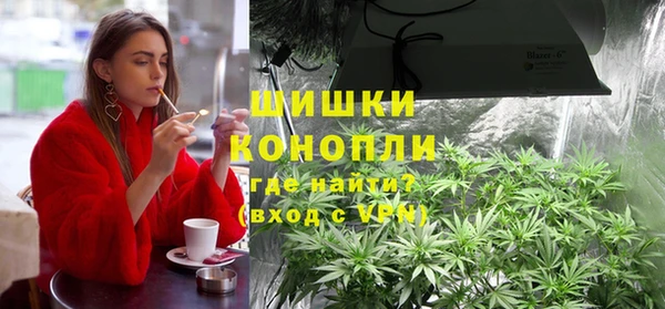 амф Бородино