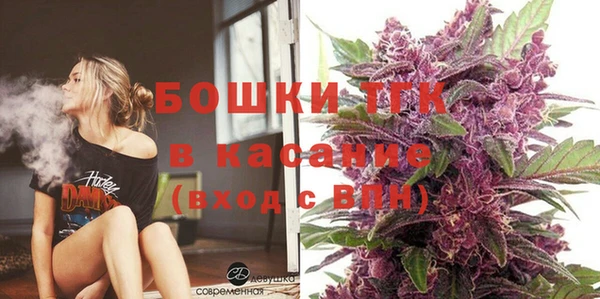 амф Бородино