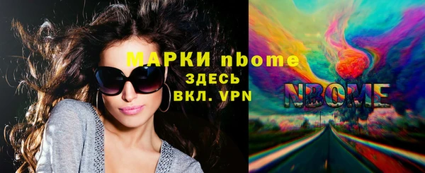 амф Бородино